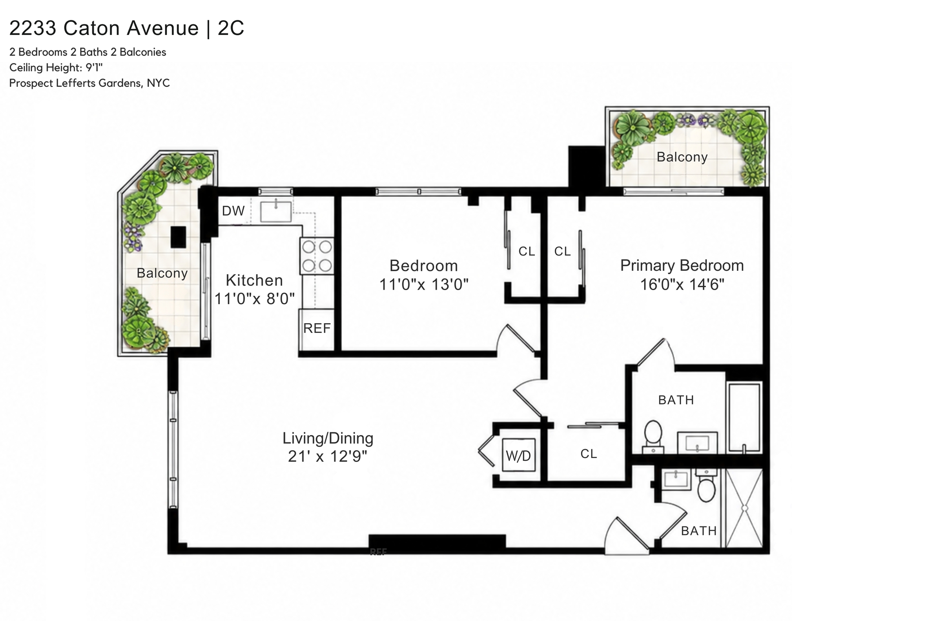 2233 Caton Avenue 2C Flatbush Brooklyn NY 11226
