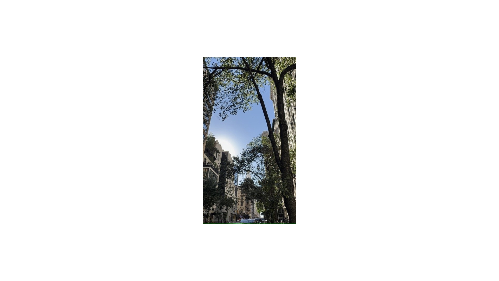 30 East 22nd Street 4C Flatiron District New York NY 10010