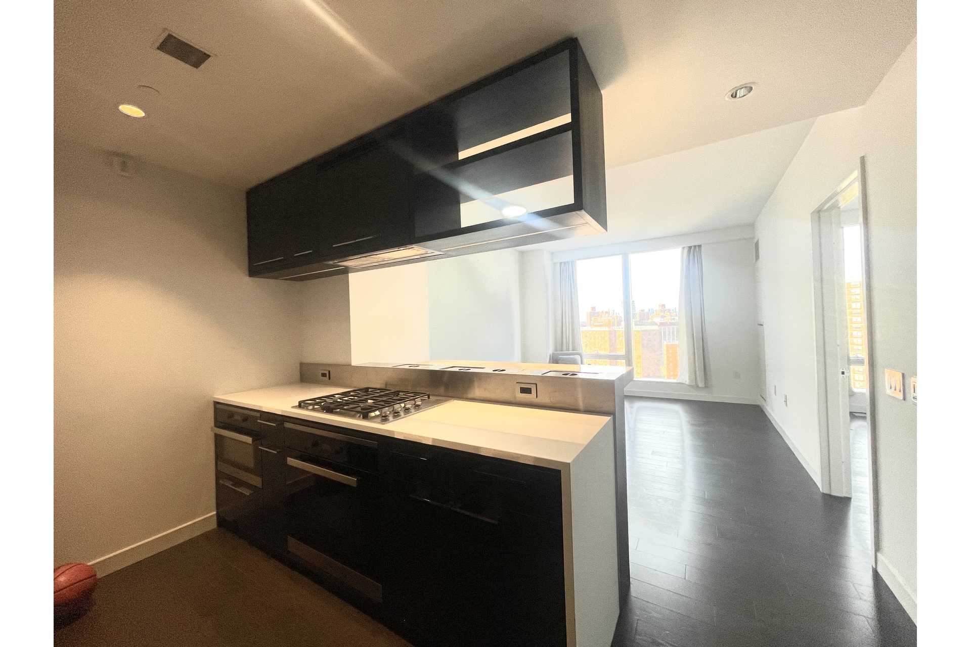 252 South Street 21F Lower East Side New York NY 10002