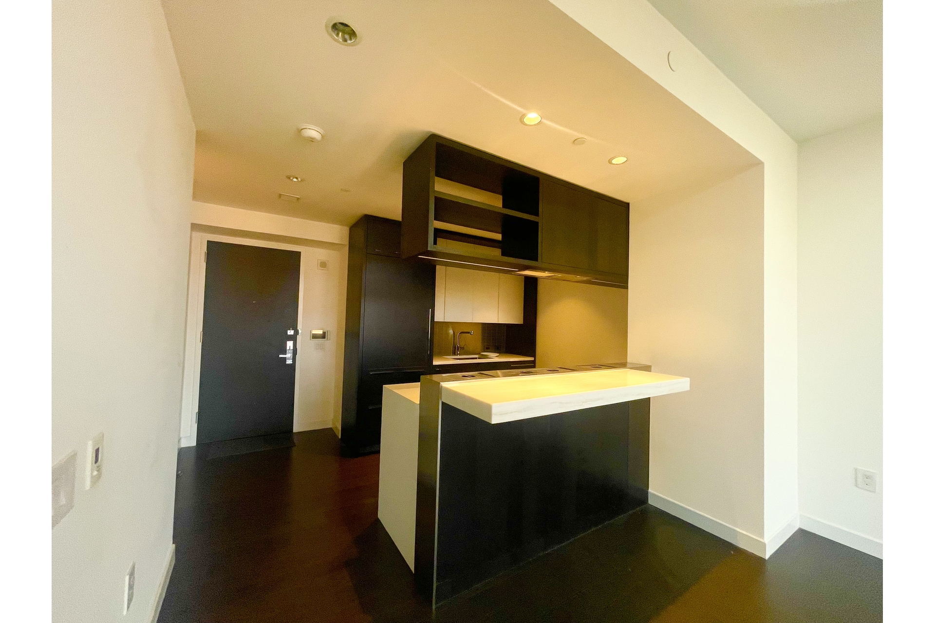 252 South Street 21F Lower East Side New York NY 10002