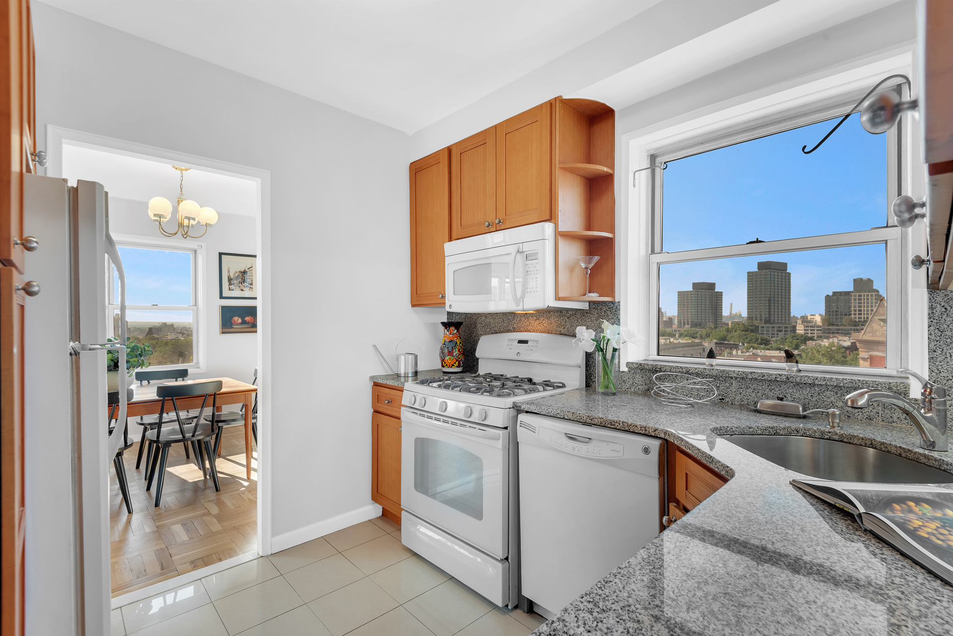 34 Plaza Street East 607 Prospect Heights Brooklyn NY 11238