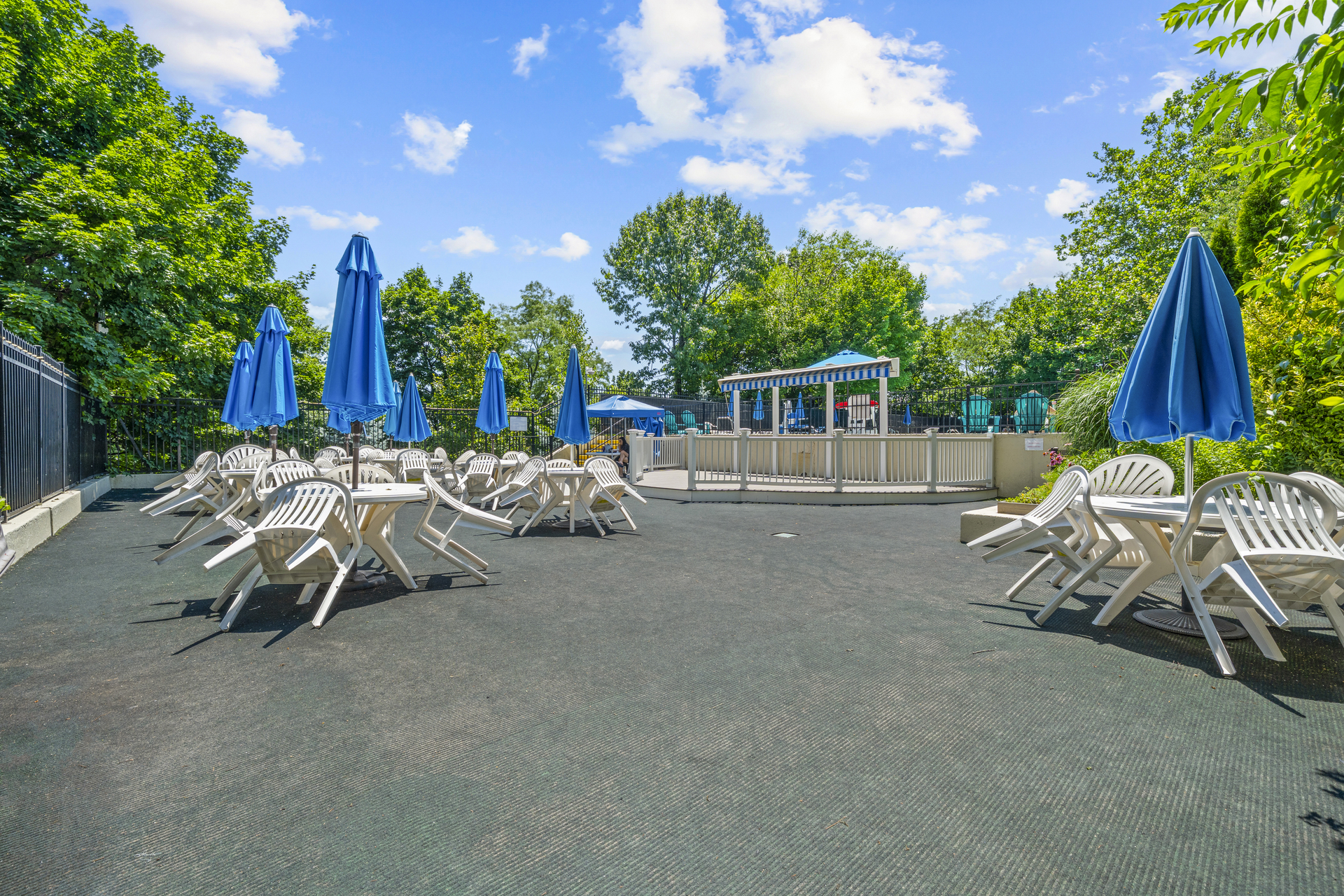 3135 Johnson Avenue 11P Spuyten Duyvil Bronx NY 10463