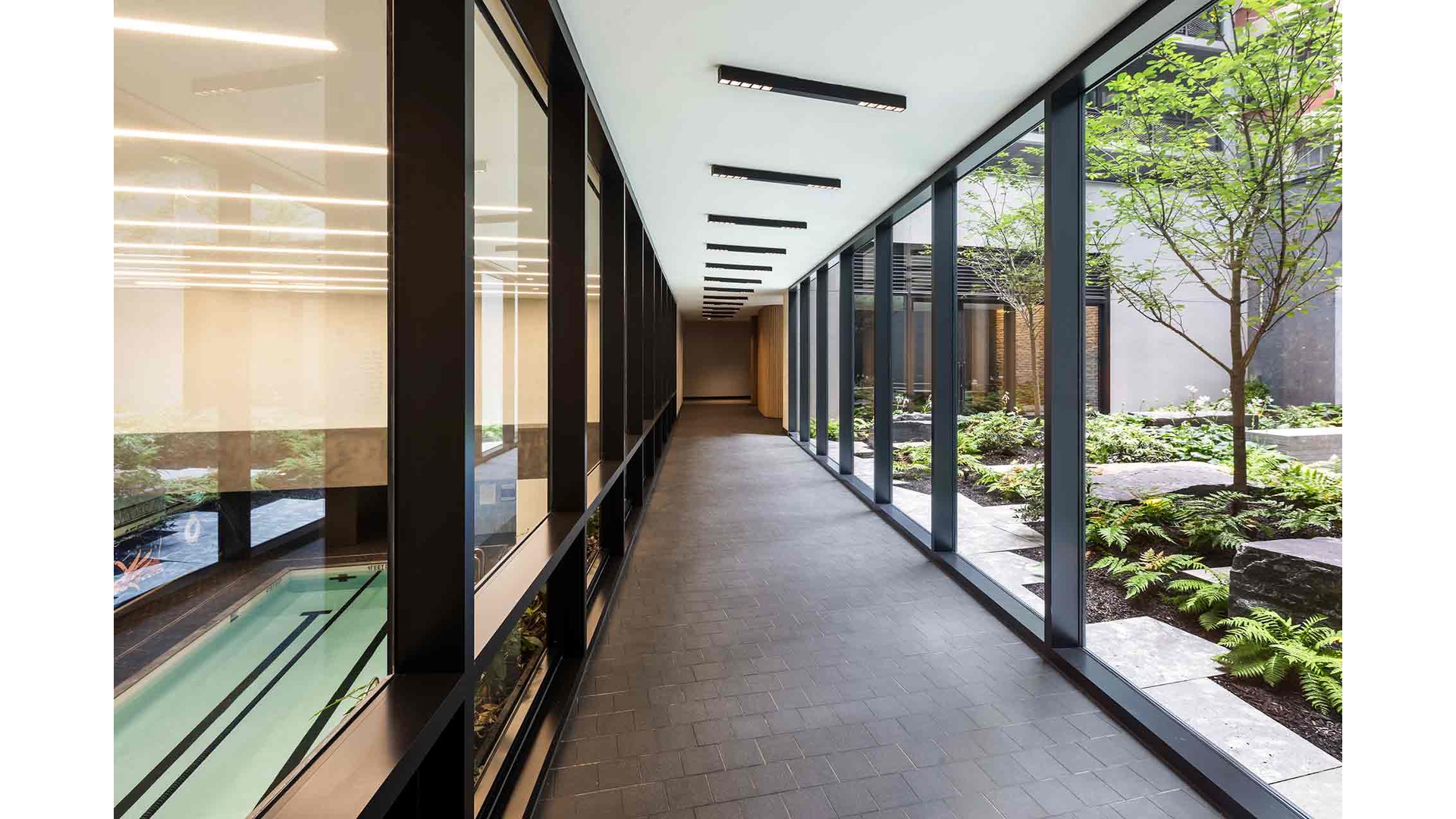 77 Charlton Street S12D Soho New York NY 10014