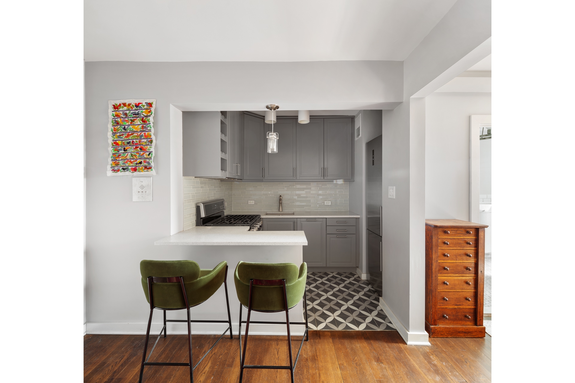 110 Ocean Parkway 3J Kensington Brooklyn NY 11218