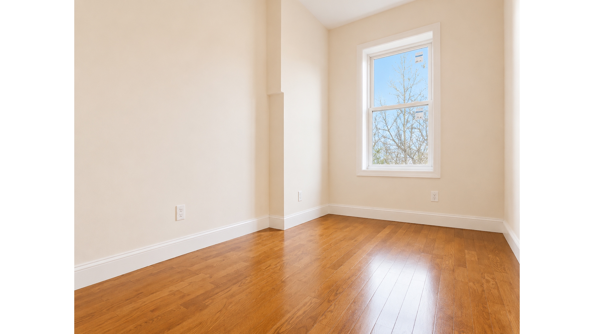253 Troy Avenue Weeksville Brooklyn NY 11213