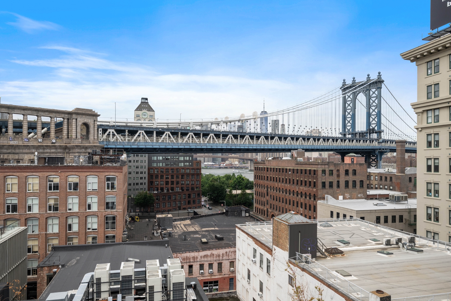 168 Plymouth Street 3B Dumbo Brooklyn NY 11201