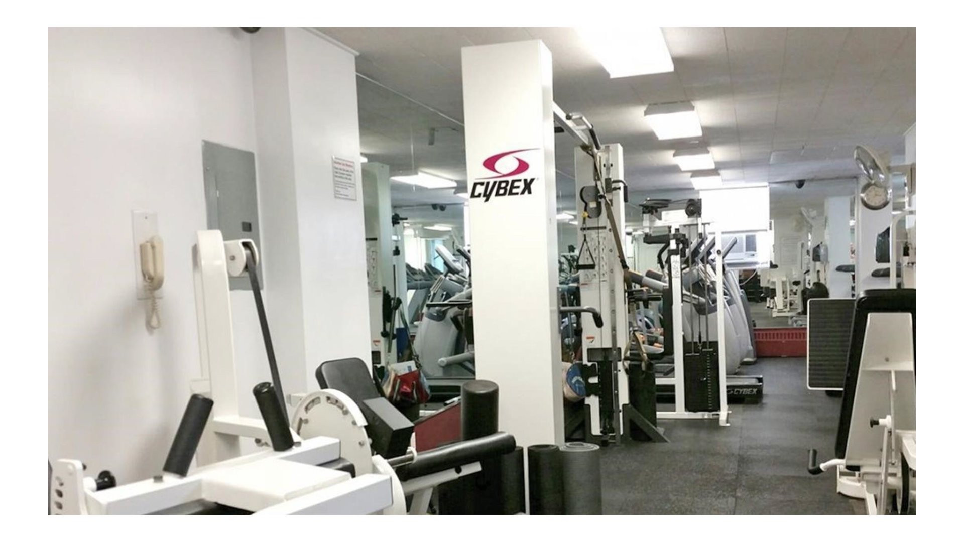 230 Jay Street 17F Downtown Brooklyn NY 11201