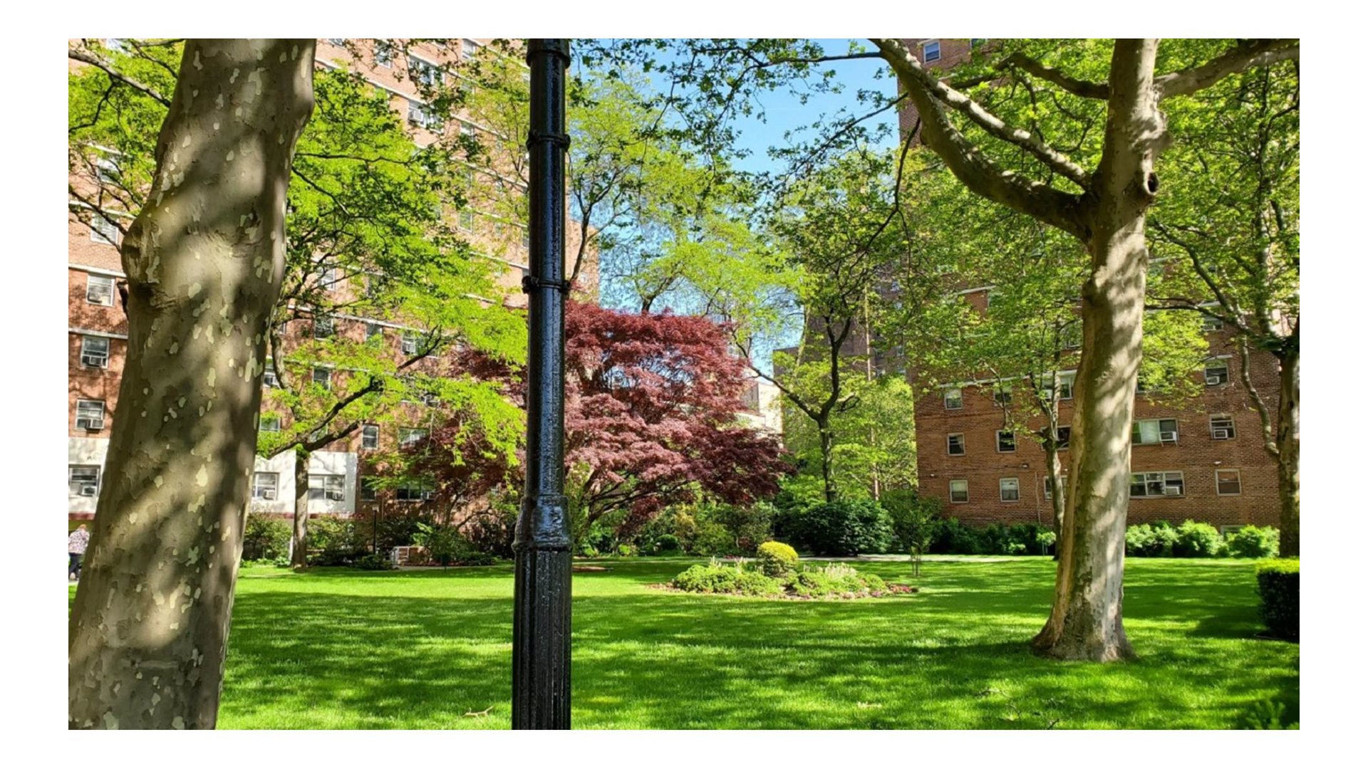 230 Jay Street 17F Downtown Brooklyn NY 11201
