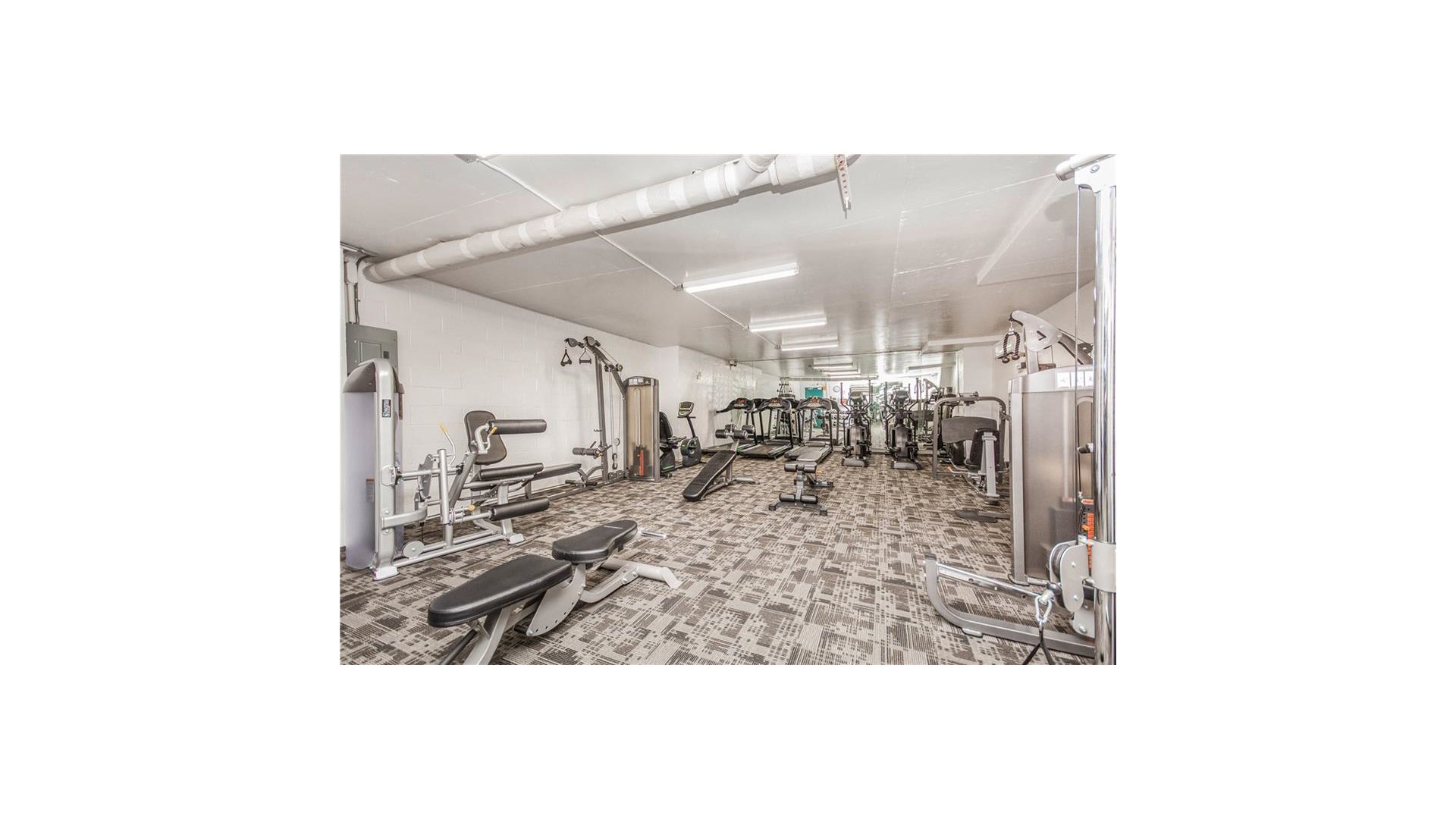 555 Kappock Street 3T Spuyten Duyvil Bronx NY 10463