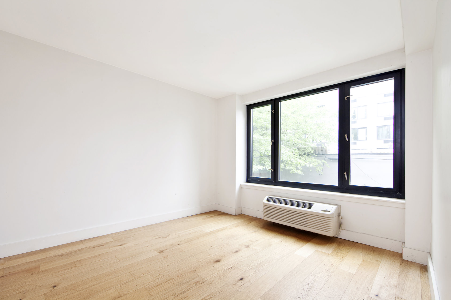 213 Maujer Street 4 East Williamsburg Brooklyn NY 11206