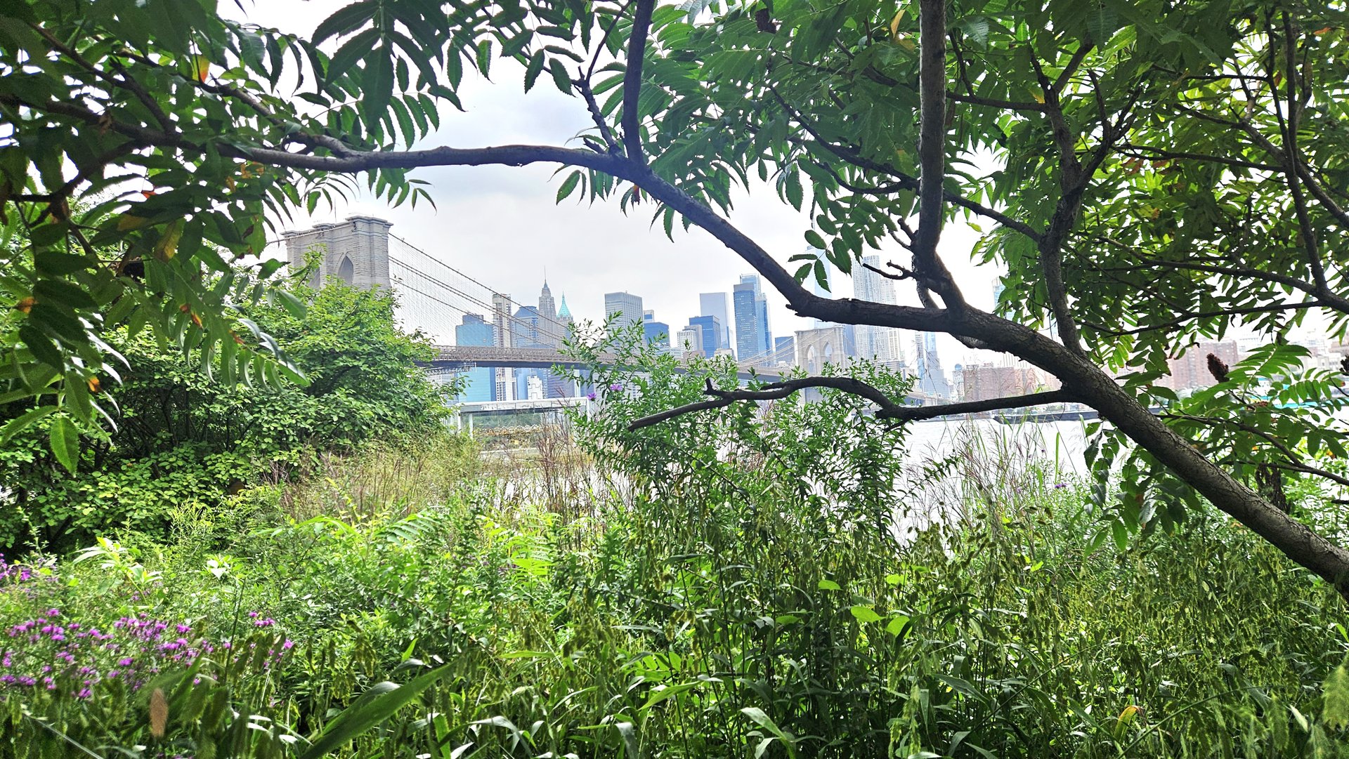 54 Jay Street 3 Dumbo Brooklyn NY 11201