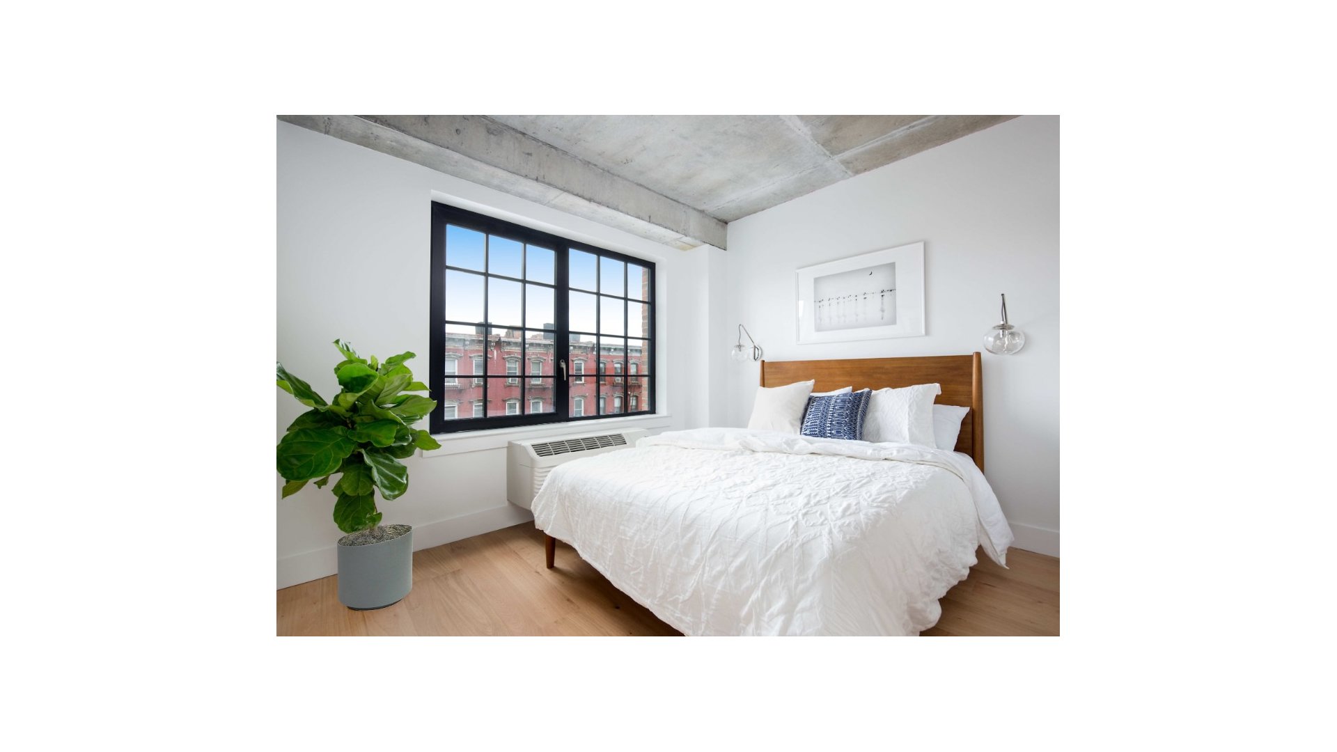 774 Grand Street East Williamsburg Brooklyn NY 11211