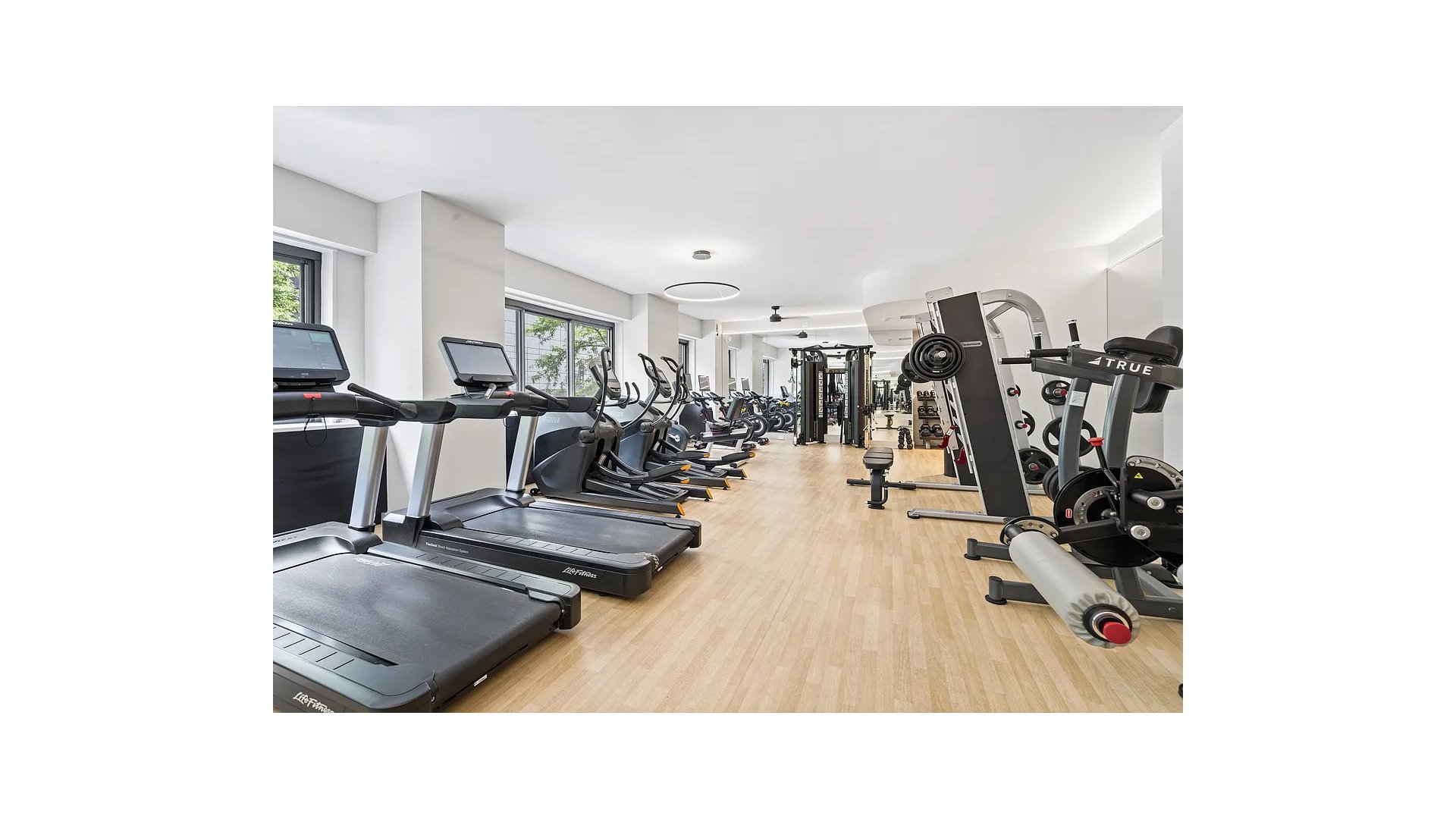 347 West 57th Street 23E Clinton New York NY 10019