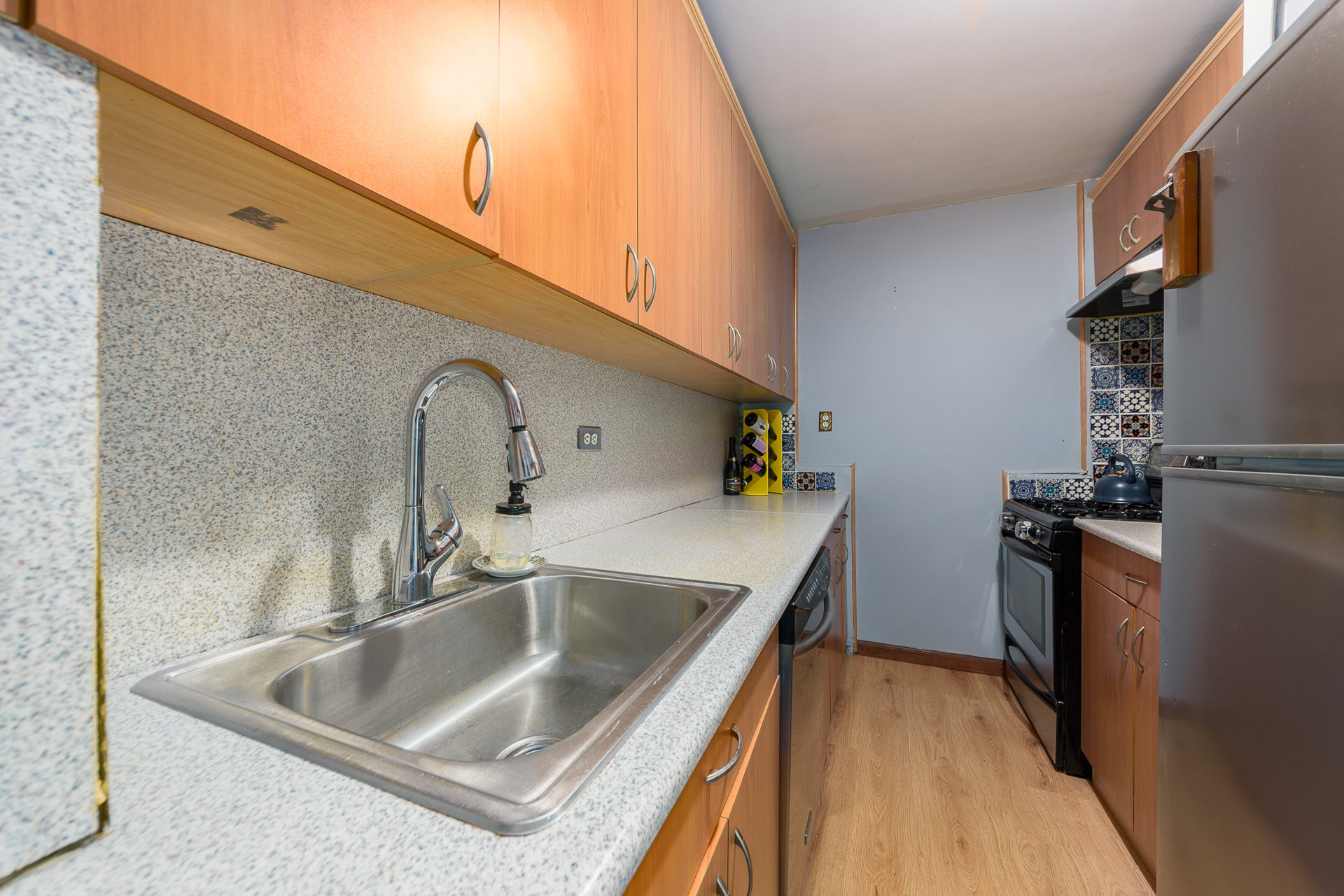 135 Ocean Parkway 8T Kensington Brooklyn NY 11218
