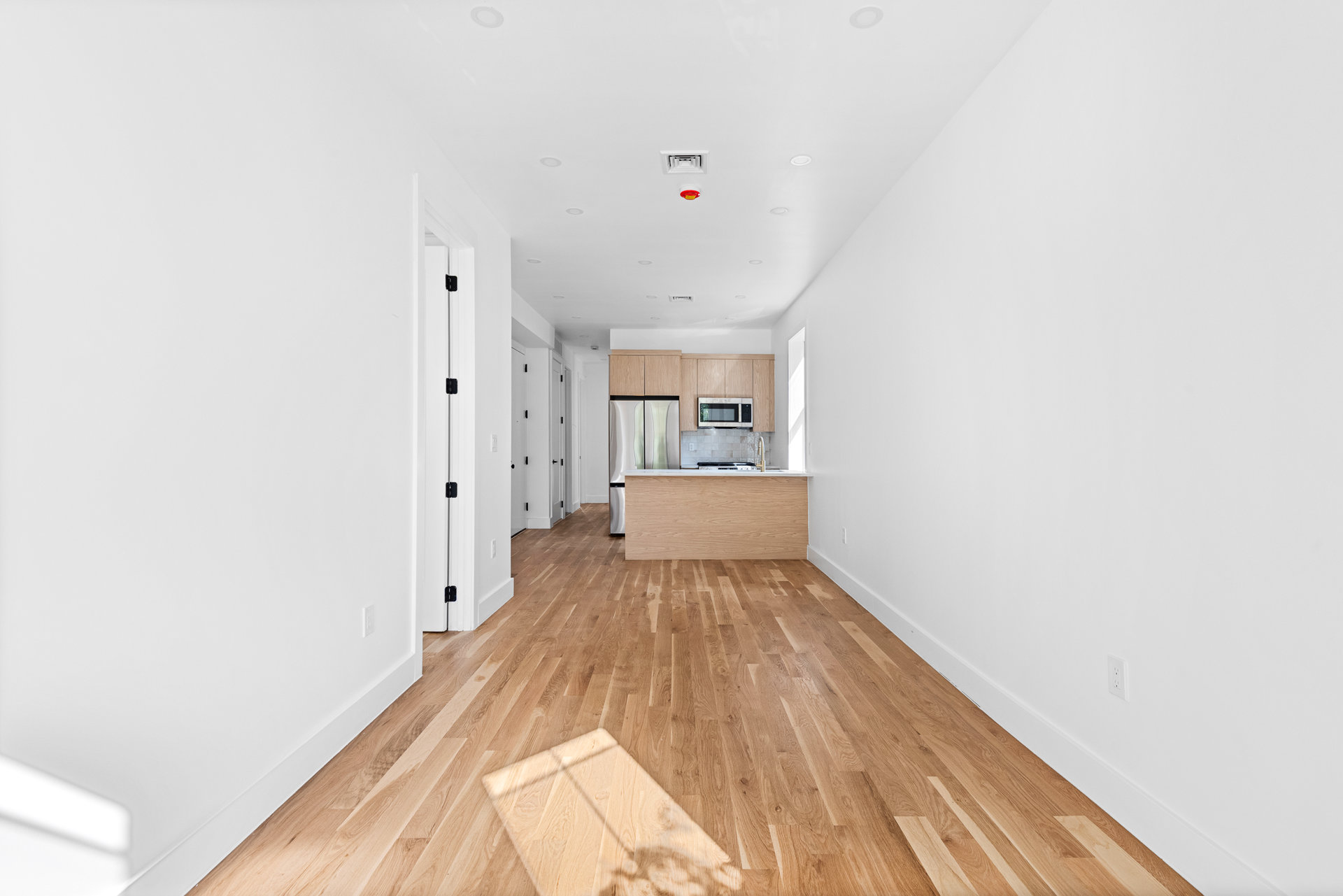 259 East 28th Street Flatbush Brooklyn NY 11226