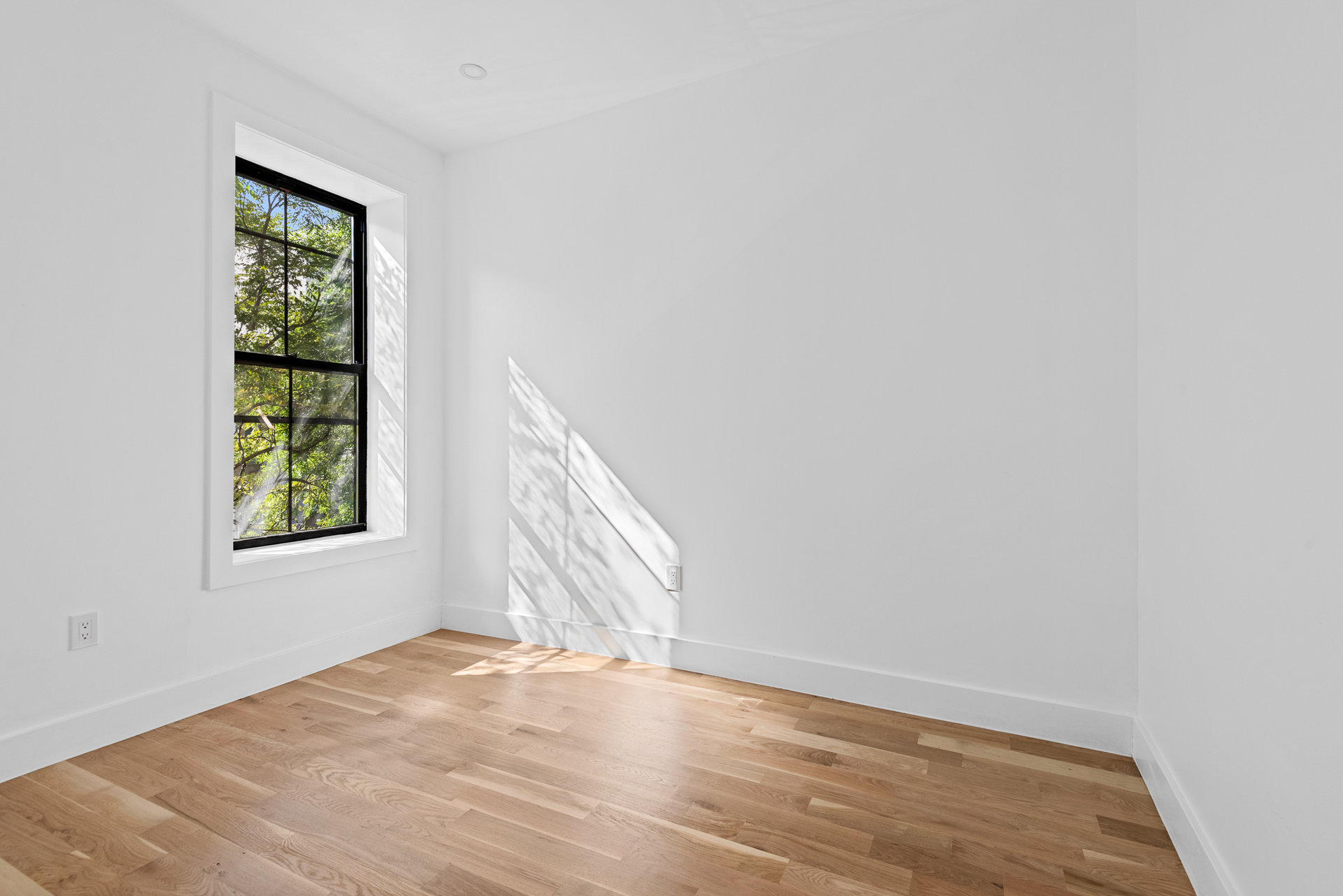 259 East 28th Street Flatbush Brooklyn NY 11226