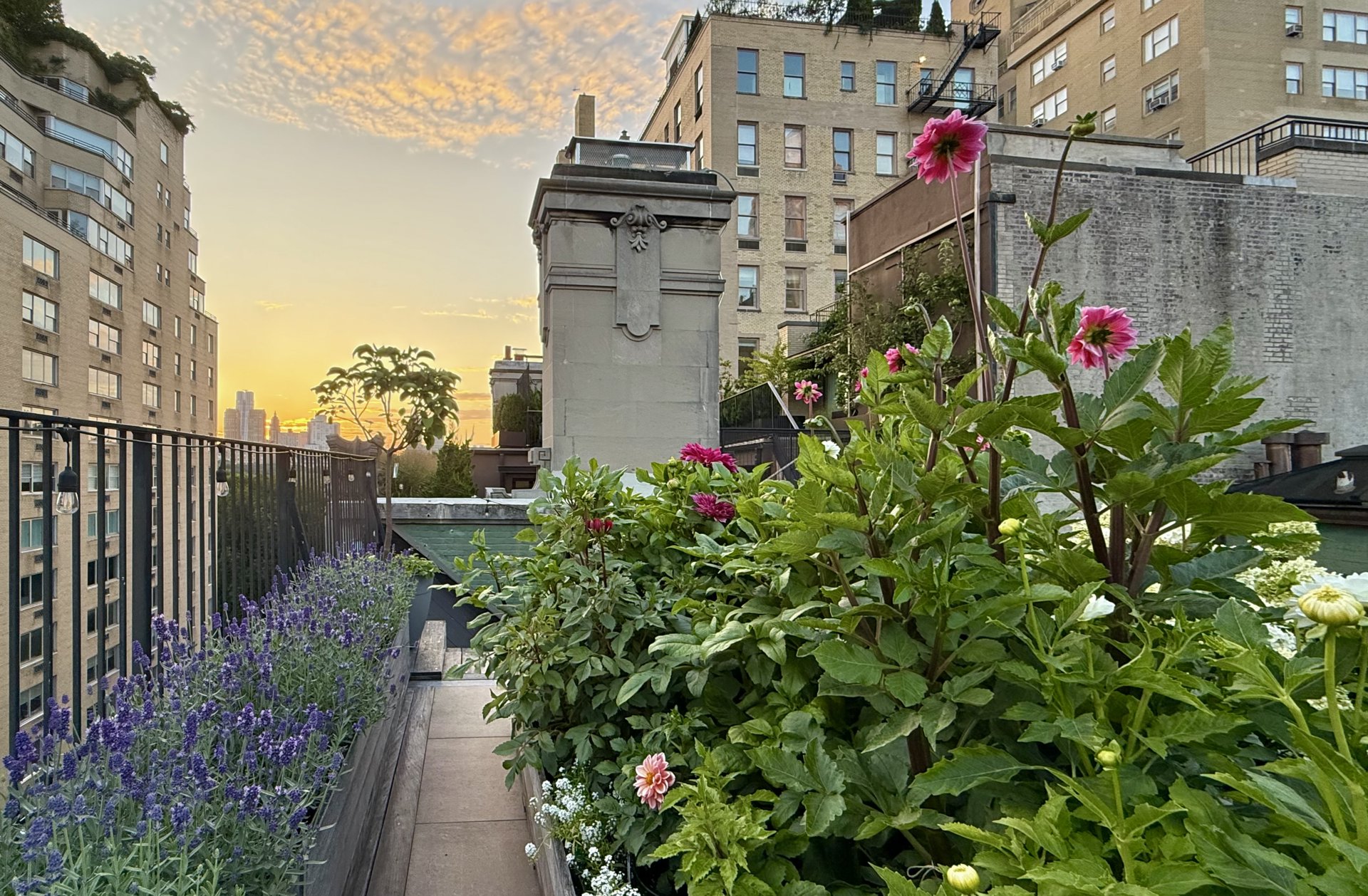 5 East 75th Street 8 Upper East Side New York NY 10021