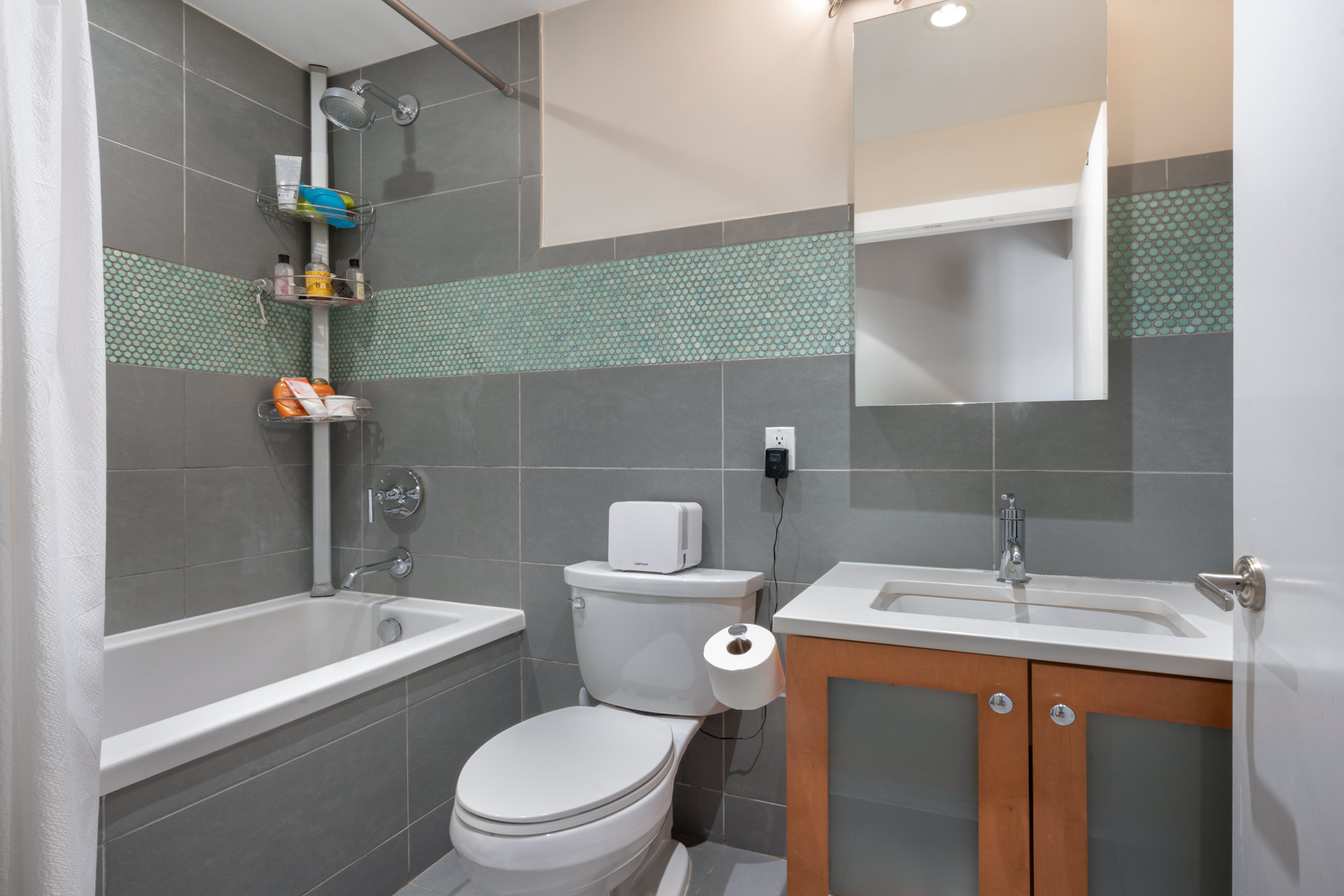 11 Terrace Place 3D Windsor Terrace Brooklyn NY 11218