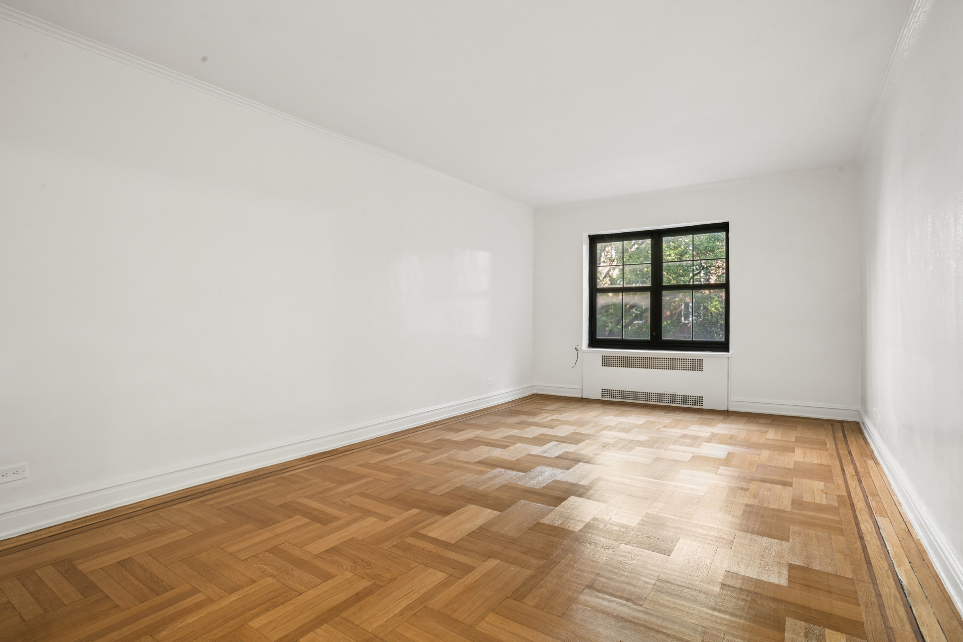 230 Park Place 4N Prospect Heights Brooklyn NY 11238
