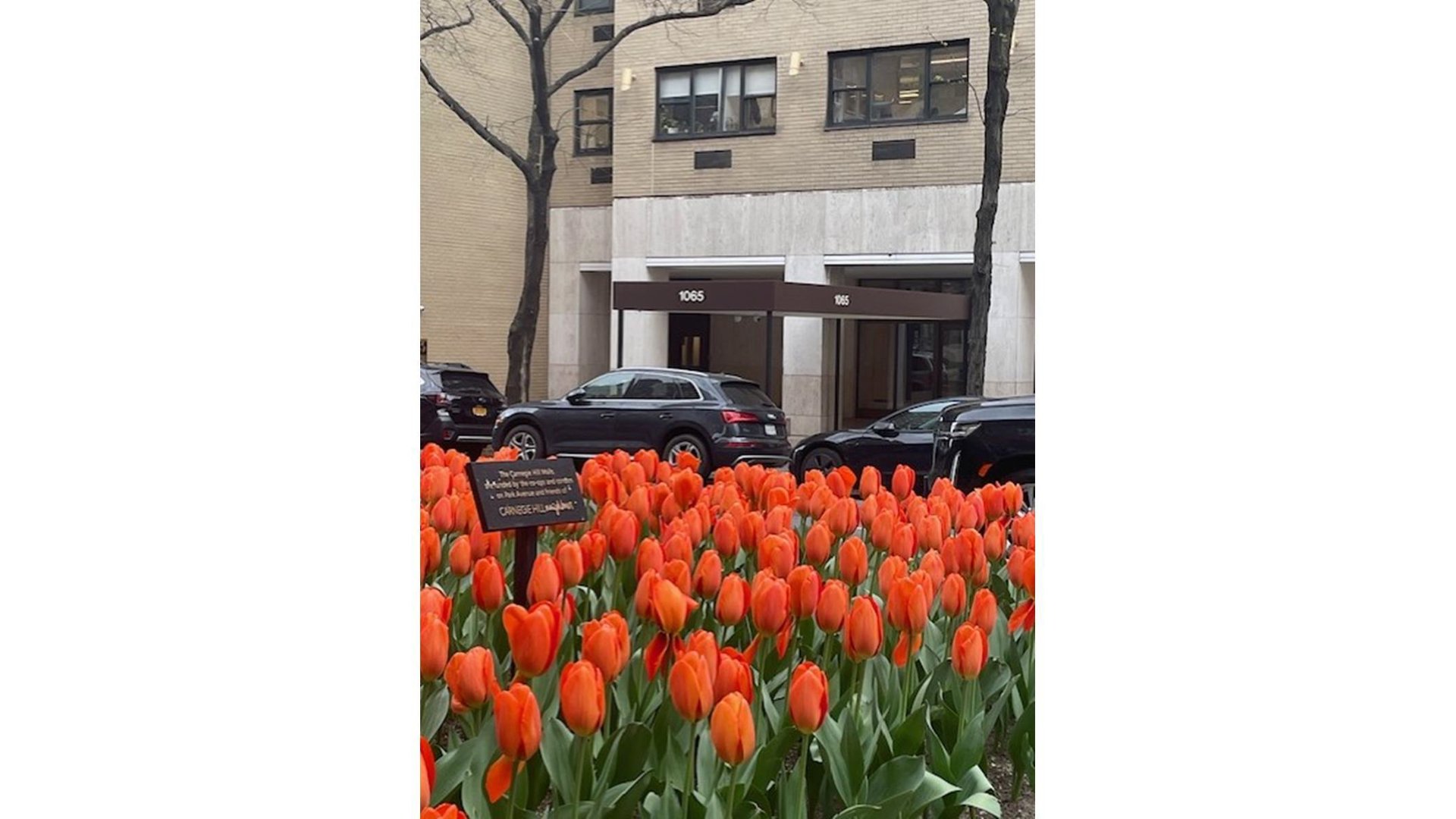 1065 Park Avenue 19D Carnegie Hill New York NY 10128