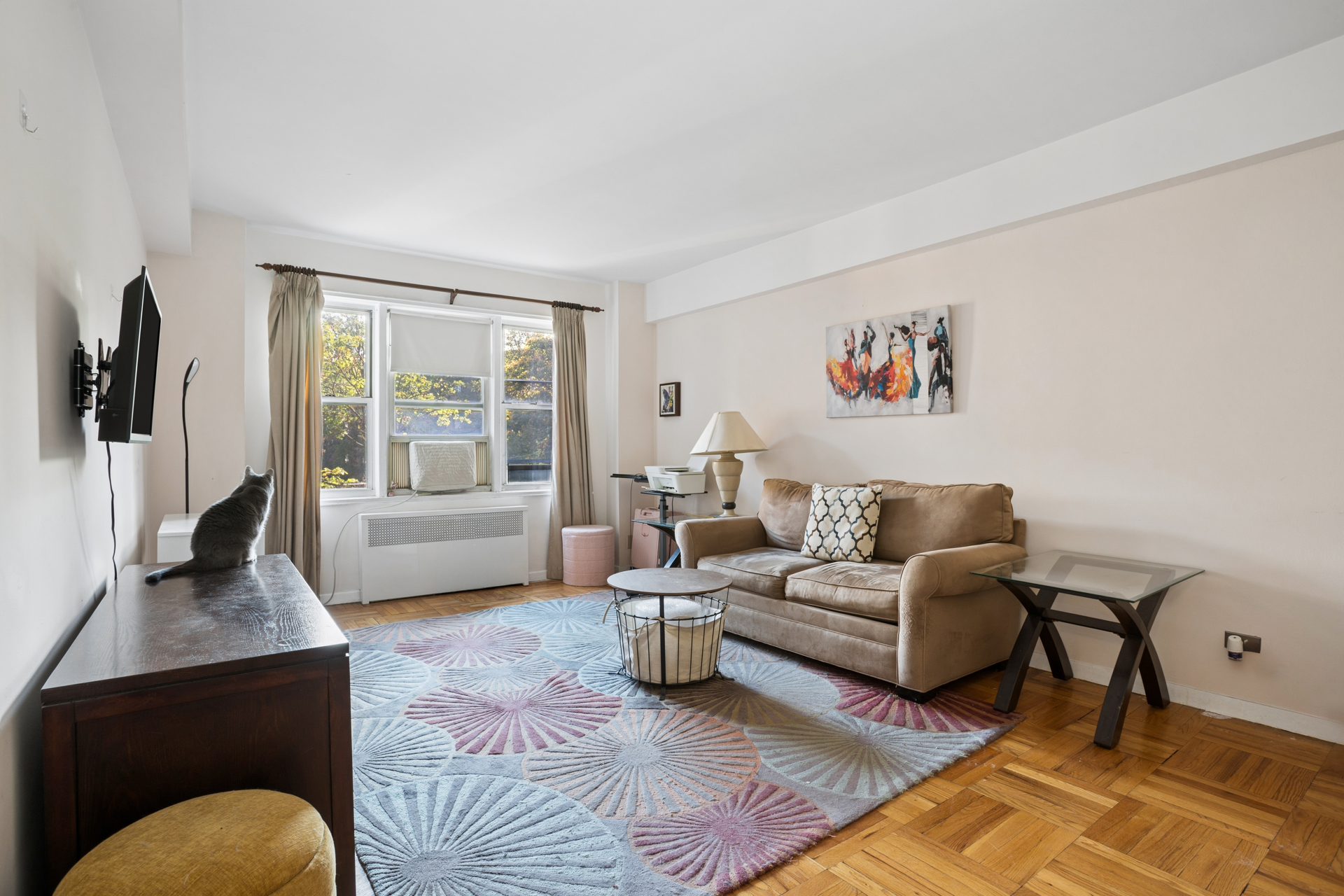 34 Plaza Street East 310 Prospect Heights Brooklyn NY 11238